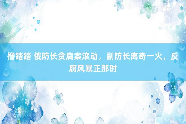 撸踏踏 俄防长贪腐案滚动，副防长离奇一火，反腐风暴正那时