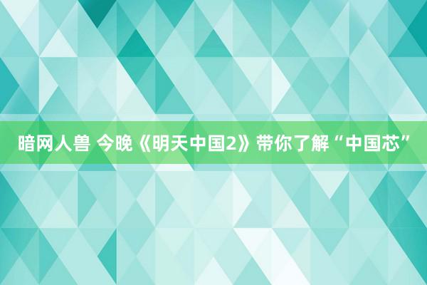 暗网人兽 今晚《明天中国2》带你了解“中国芯”