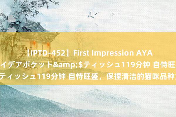 【IPTD-452】First Impression AYA</a>2009-05-01アイデアポケット&$ティッシュ119分钟 自恃旺盛，保捏清洁的猫咪品种大揭秘