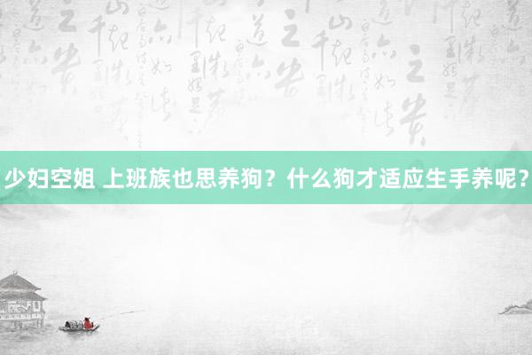 少妇空姐 上班族也思养狗？什么狗才适应生手养呢？