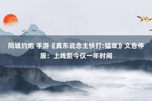 同城约炮 手游《真东说念主快打:猛攻》文告停服：上线距今仅一年时间