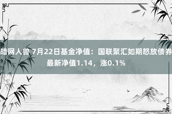 暗网人兽 7月22日基金净值：国联聚汇如期怒放债券最新净值1.14，涨0.1%