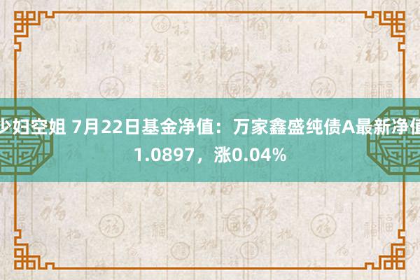 少妇空姐 7月22日基金净值：万家鑫盛纯债A最新净值1.0897，涨0.04%