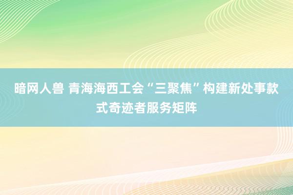 暗网人兽 青海海西工会“三聚焦”构建新处事款式奇迹者服务矩阵