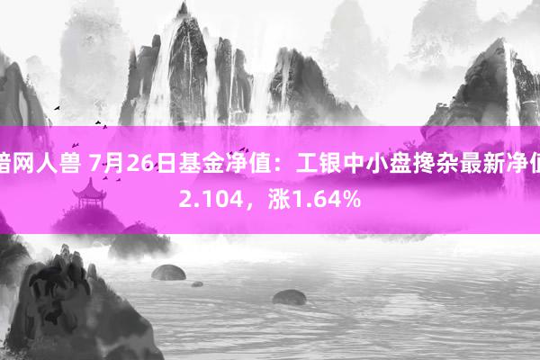 暗网人兽 7月26日基金净值：工银中小盘搀杂最新净值2.104，涨1.64%