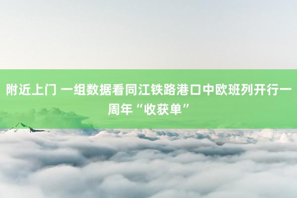 附近上门 一组数据看同江铁路港口中欧班列开行一周年“收获单”