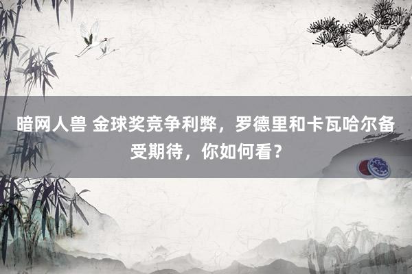 暗网人兽 金球奖竞争利弊，罗德里和卡瓦哈尔备受期待，你如何看？