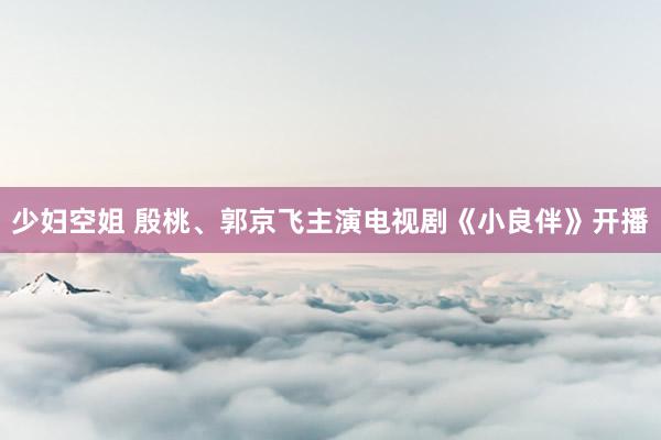 少妇空姐 殷桃、郭京飞主演电视剧《小良伴》开播