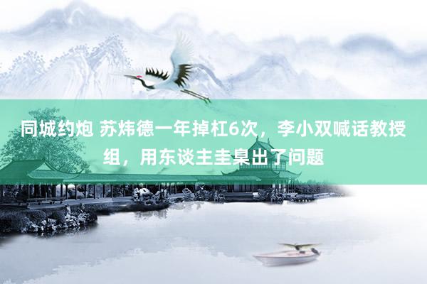 同城约炮 苏炜德一年掉杠6次，李小双喊话教授组，用东谈主圭臬出了问题