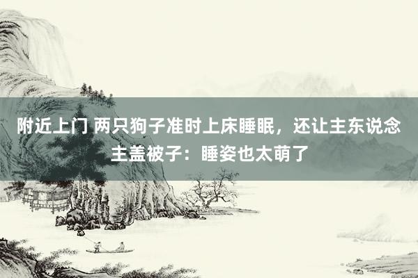 附近上门 两只狗子准时上床睡眠，还让主东说念主盖被子：睡姿也太萌了