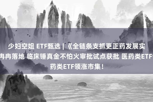 少妇空姐 ETF甄选 | 《全链条支抓更正药发展实行决议》冉冉落地 临床锤真金不怕火审批试点获批 医药类ETF领涨市集！