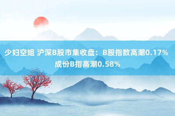 少妇空姐 沪深B股市集收盘：B股指数高潮0.17% 成份B指高潮0.58%