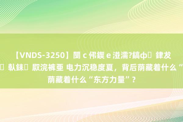 【VNDS-3250】闅ｃ伄鍥ｅ湴濡?鎬ф銉犮儵銉犮儵 娣倝銇叞浣裤亜 电力沉稳度夏，背后荫藏着什么“东方力量”？