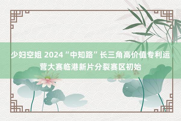 少妇空姐 2024“中知路”长三角高价值专利运营大赛临港新片分裂赛区初始