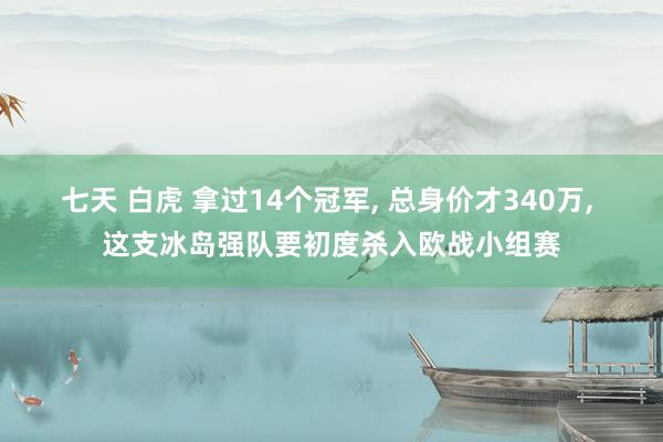 七天 白虎 拿过14个冠军, 总身价才340万, 这支冰岛强队要初度杀入欧战小组赛