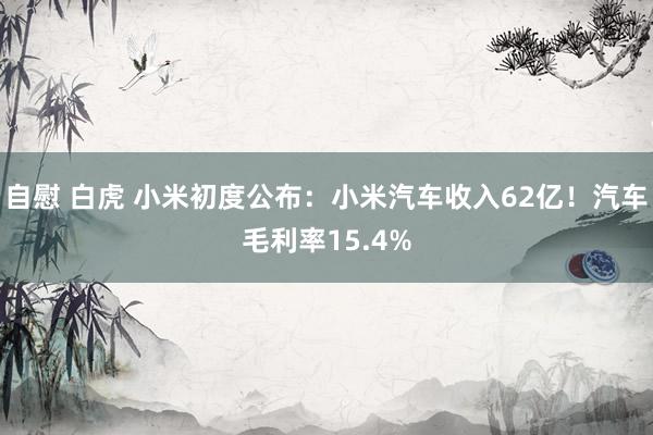 自慰 白虎 小米初度公布：小米汽车收入62亿！汽车毛利率15.4%