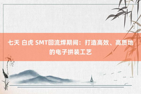 七天 白虎 SMT回流焊期间：打造高效、高质地的电子拼装工艺