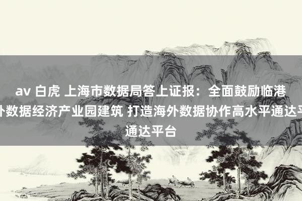 av 白虎 上海市数据局答上证报：全面鼓励临港海外数据经济产业园建筑 打造海外数据协作高水平通达平台