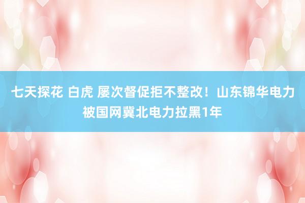 七天探花 白虎 屡次督促拒不整改！山东锦华电力被国网冀北电力拉黑1年